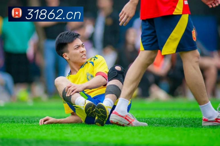 米兰体育在线登录入口平台生态图