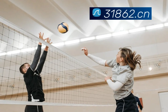 米兰体育在线登录入口APP 封面图